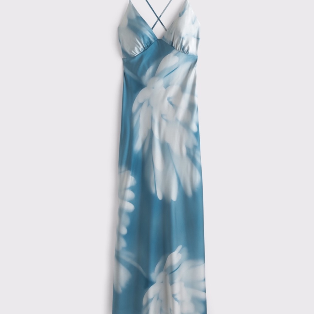 Abercrombie & Fitch Blue and White Maxi Dress
